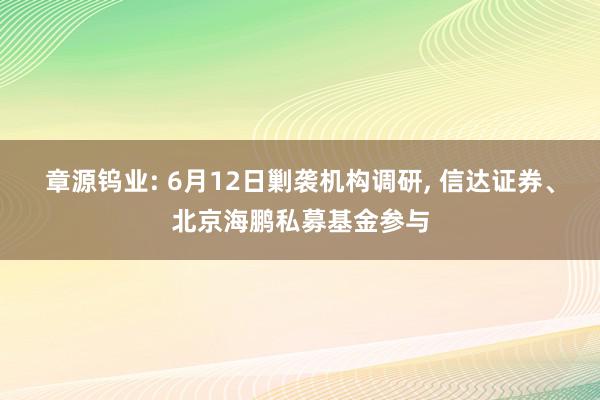 章源钨业: 6月12日剿袭机构调研, 信达证券、北京海鹏私募基金参与