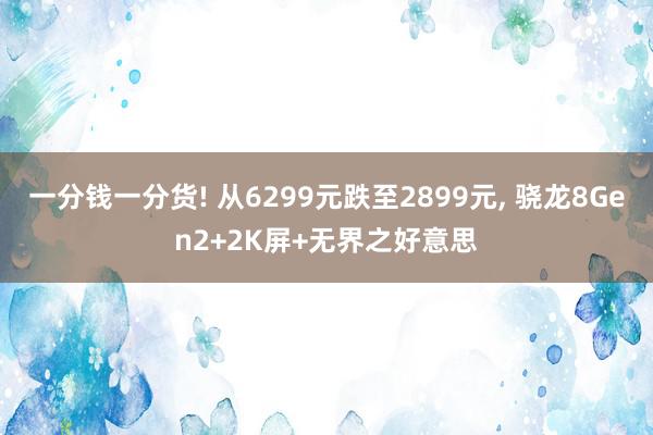 一分钱一分货! 从6299元跌至2899元, 骁龙8Gen2+2K屏+无界之好意思