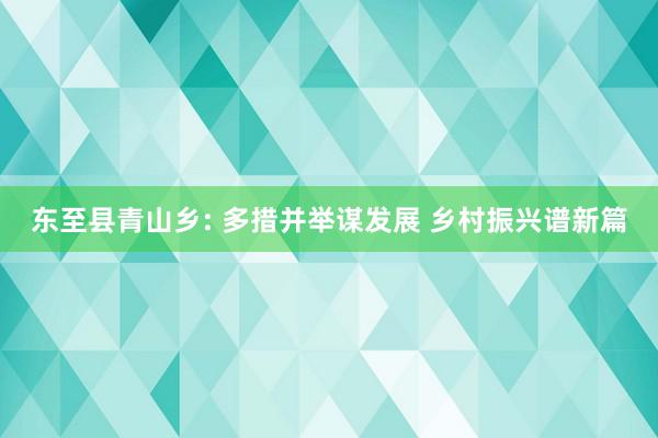 东至县青山乡: 多措并举谋发展 乡村振兴谱新篇