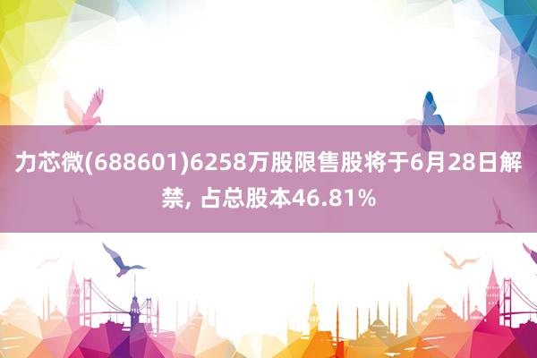 力芯微(688601)6258万股限售股将于6月28日解禁, 占总股本46.81%