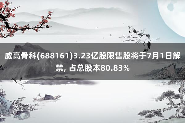 威高骨科(688161)3.23亿股限售股将于7月1日解禁, 占总股本80.83%