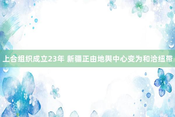 上合组织成立23年 新疆正由地舆中心变为和洽纽带