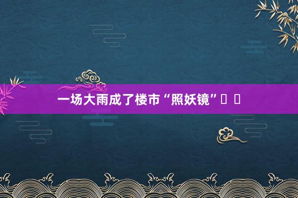 一场大雨成了楼市“照妖镜”❗️