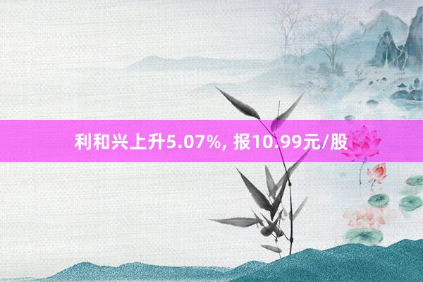 利和兴上升5.07%, 报10.99元/股