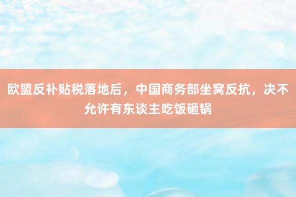 欧盟反补贴税落地后，中国商务部坐窝反抗，决不允许有东谈主吃饭砸锅